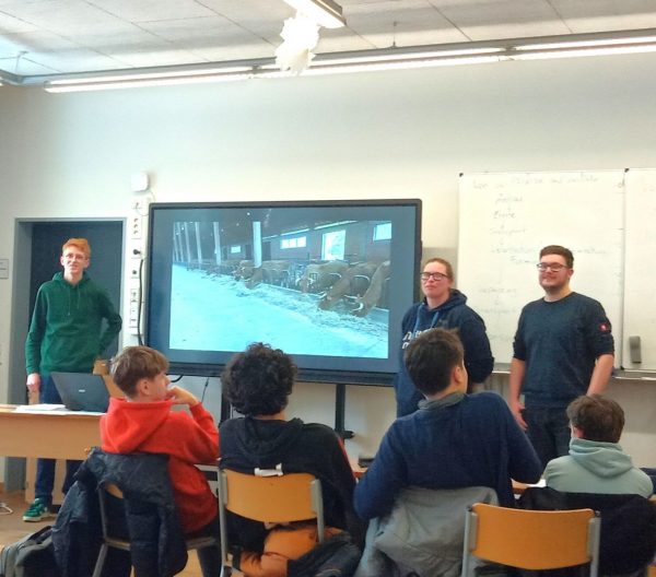 In einem Klassenraum stehen drei Erwachsene vorn, zwei davon neben einem großen Bildschirm, auf dem ein Foto von Kühen an einer Futterstelle gezeigt wird. Mehrere Jugendliche sitzen auf Stühlen und blicken nach vorn. Links steht ein Tisch mit einem Laptop. An der Wand hängt ein Whiteboard mit handschriftlichen Notizen. Die Szene vermittelt eine Unterrichtssituation, bei der das Thema »Maritimes Buffet« im Mittelpunkt steht.