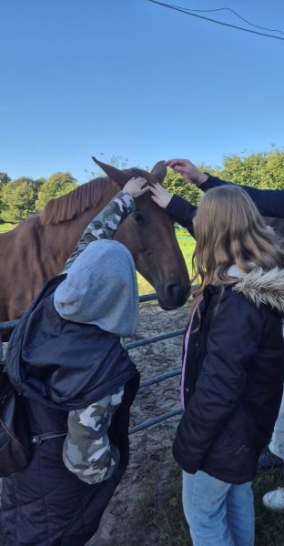 Im Vordergrund steht ein braunes Pferd mit glattem Fell, das von mehreren Personen gestreichelt wird. Die Personen tragen Jacken und stehen dicht am Pferd, wobei eine Person eine Kapuze trägt und eine andere lange, blonde Haare hat. Im Hintergrund sind grüne Wiesen, Bäume und ein blauer Himmel zu sehen. Ein Metallzaun trennt die Gruppe vom restlichen Gelände des Bauernhofs Gosch. Die Szene vermittelt einen Moment des direkten Kontakts zwischen den Schülerinnen und Schülern der AVSHI026a Klasse und dem Tier während ihres Unterrichtsvormittags auf dem Bauernhof.